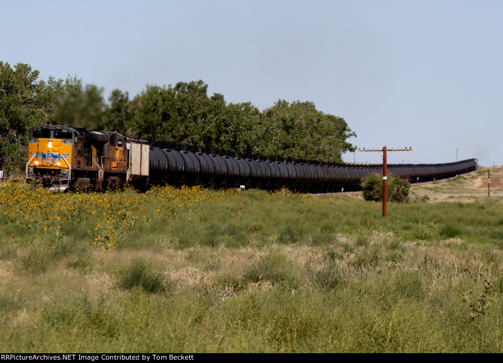 Long sag